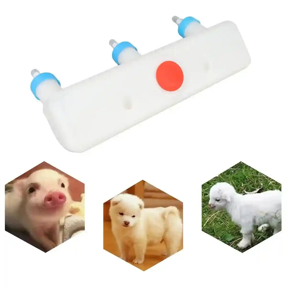 Triple Nipple Lamb Piglet Feeder 3-Teat Nursing Bottle 1.5L