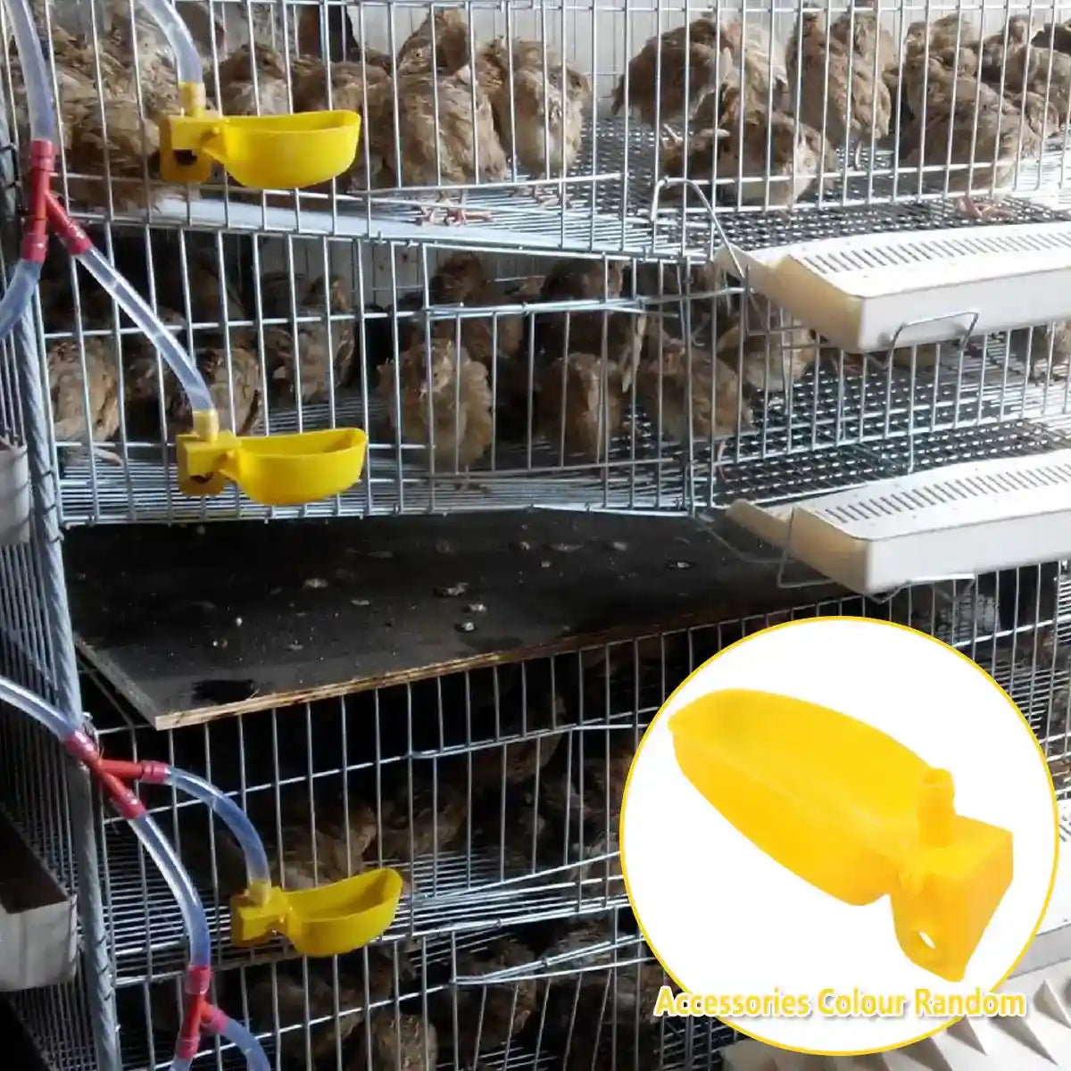 12PCS Automatic Bird Drinker Bowl for Quail and Small Poultry Cages