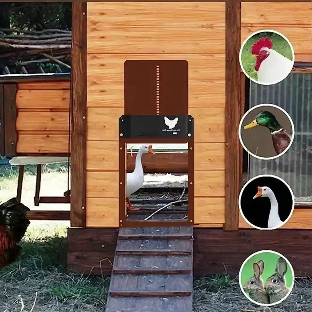 Light Sensor Automatic Chicken Coop Door Battery Powered & Waterproof