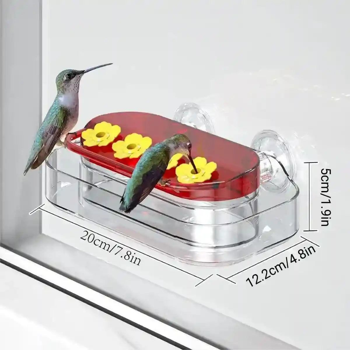 Window Hummingbird Feeder 10oz Capacity with Suction Cup and Ant Moat