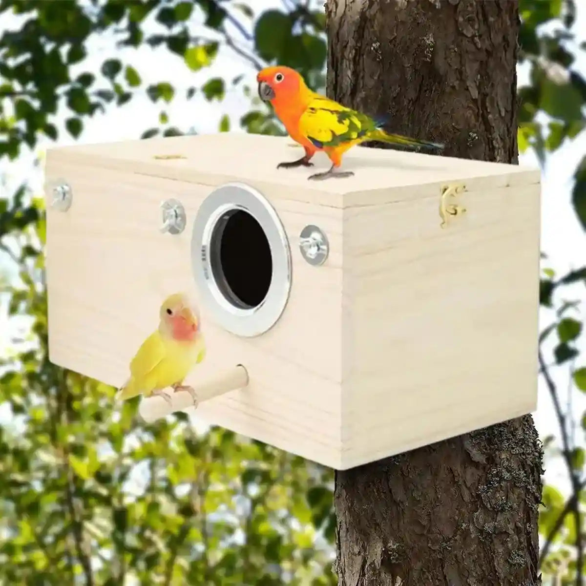Right Opening Wooden Breeding Box for Small Birds Durable & Spacious