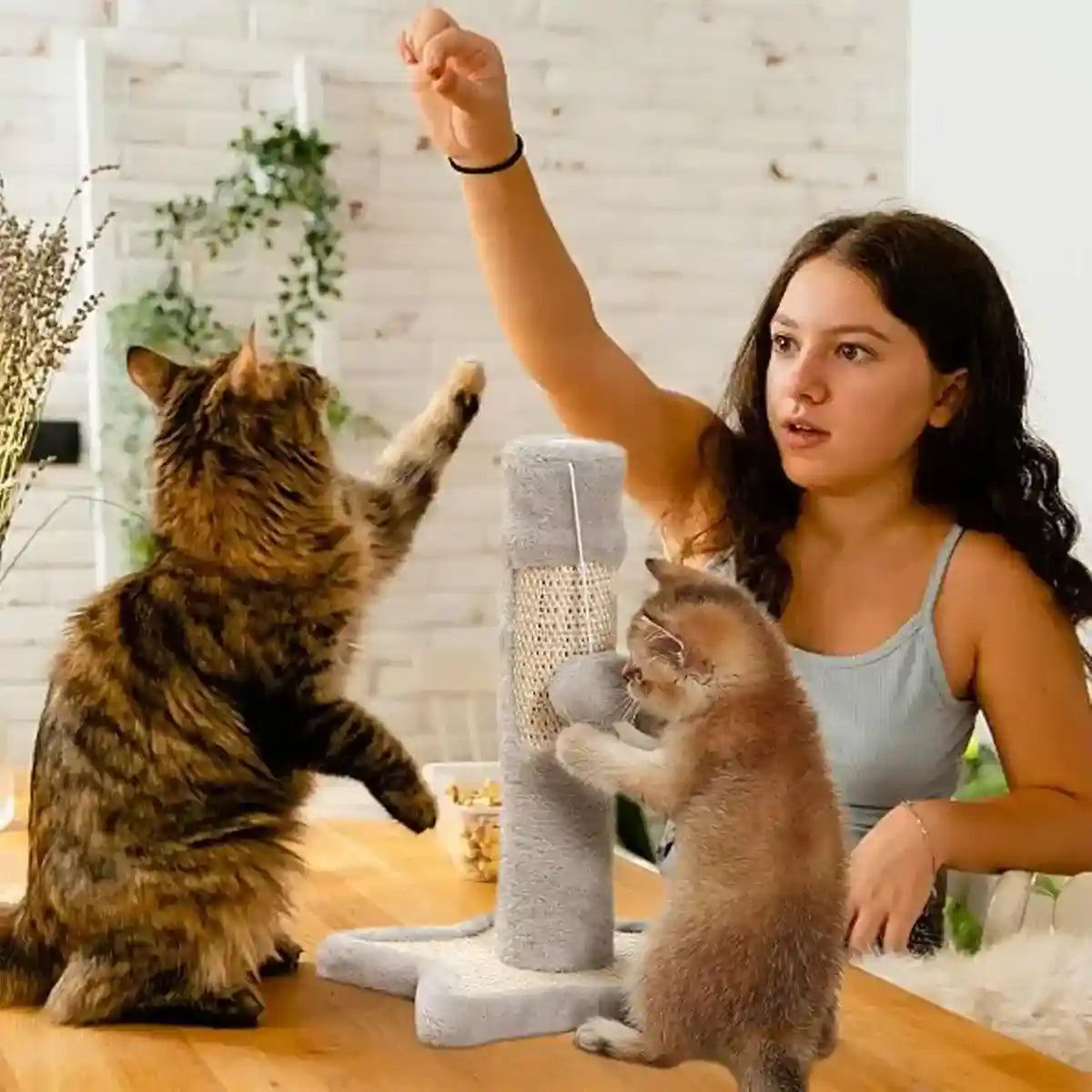 Heart & Star Cat Scratching Post