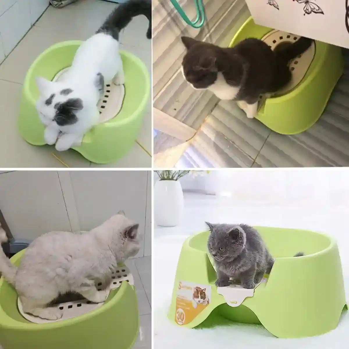 Open Cat Litter Box with Toilet Ring and Scoop Squat Style Design