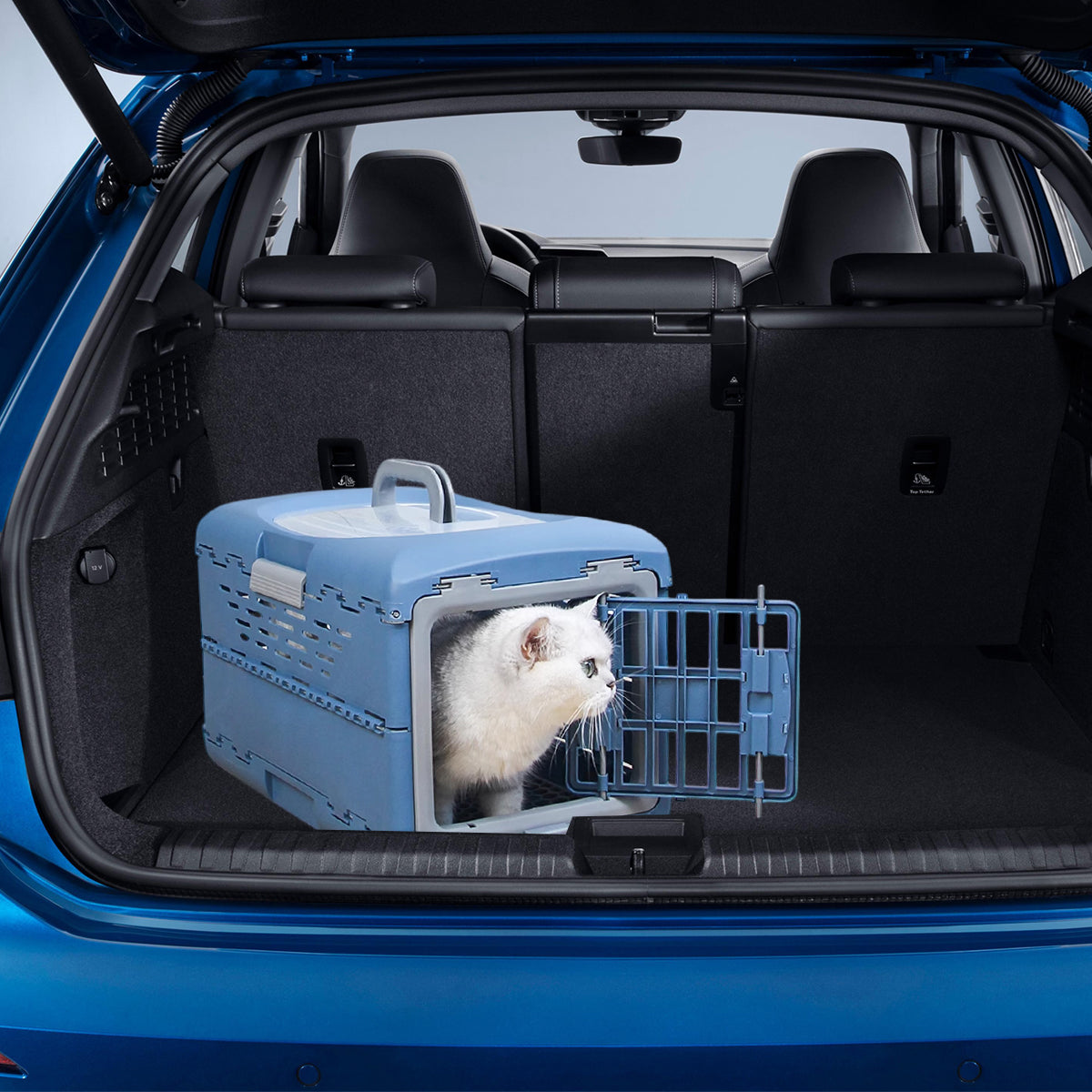 Foldable Pet Carrier Portable Travel Box For Small Pets