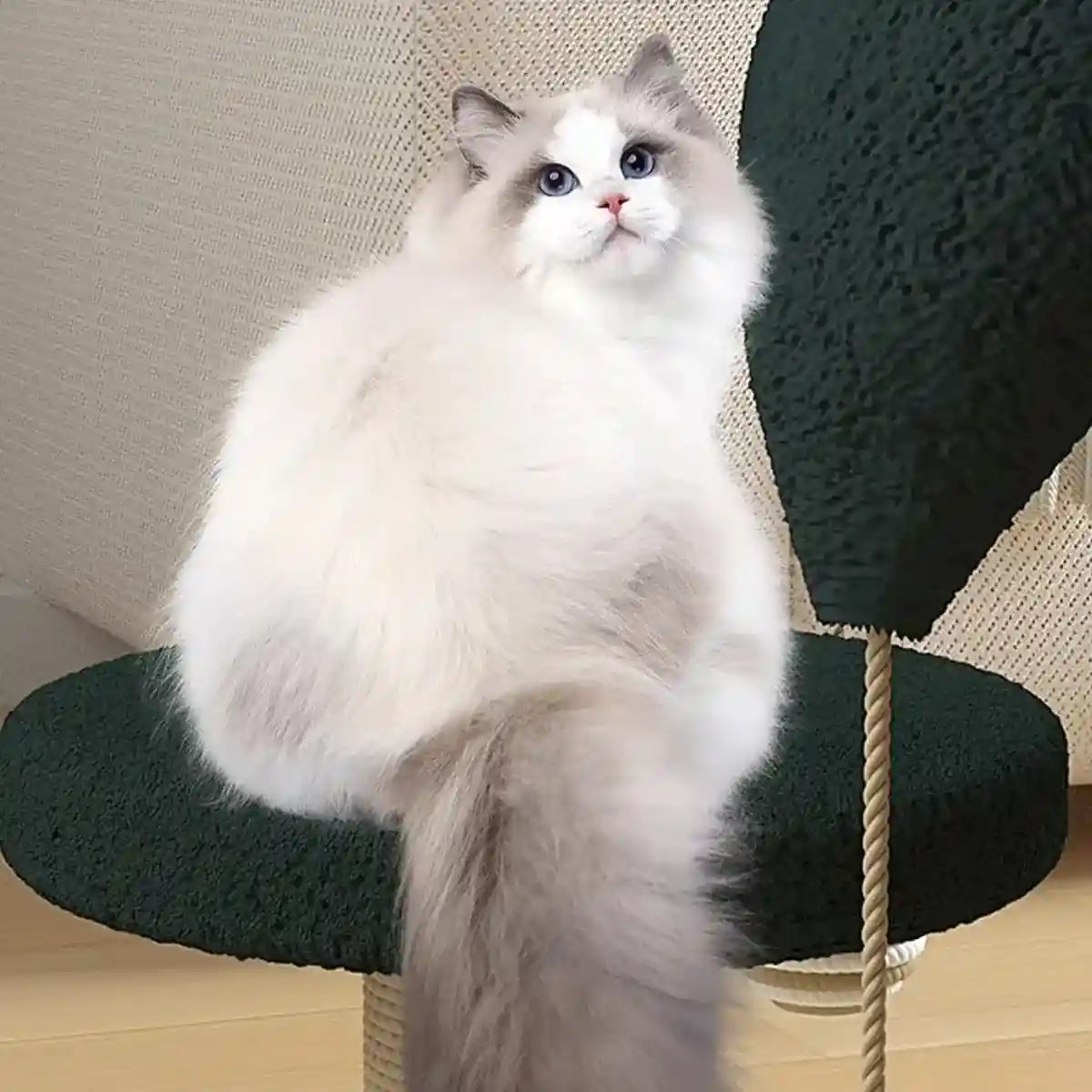 Cat Scratching Post with Teaser Stick & Turntable Sisal & Wood Base