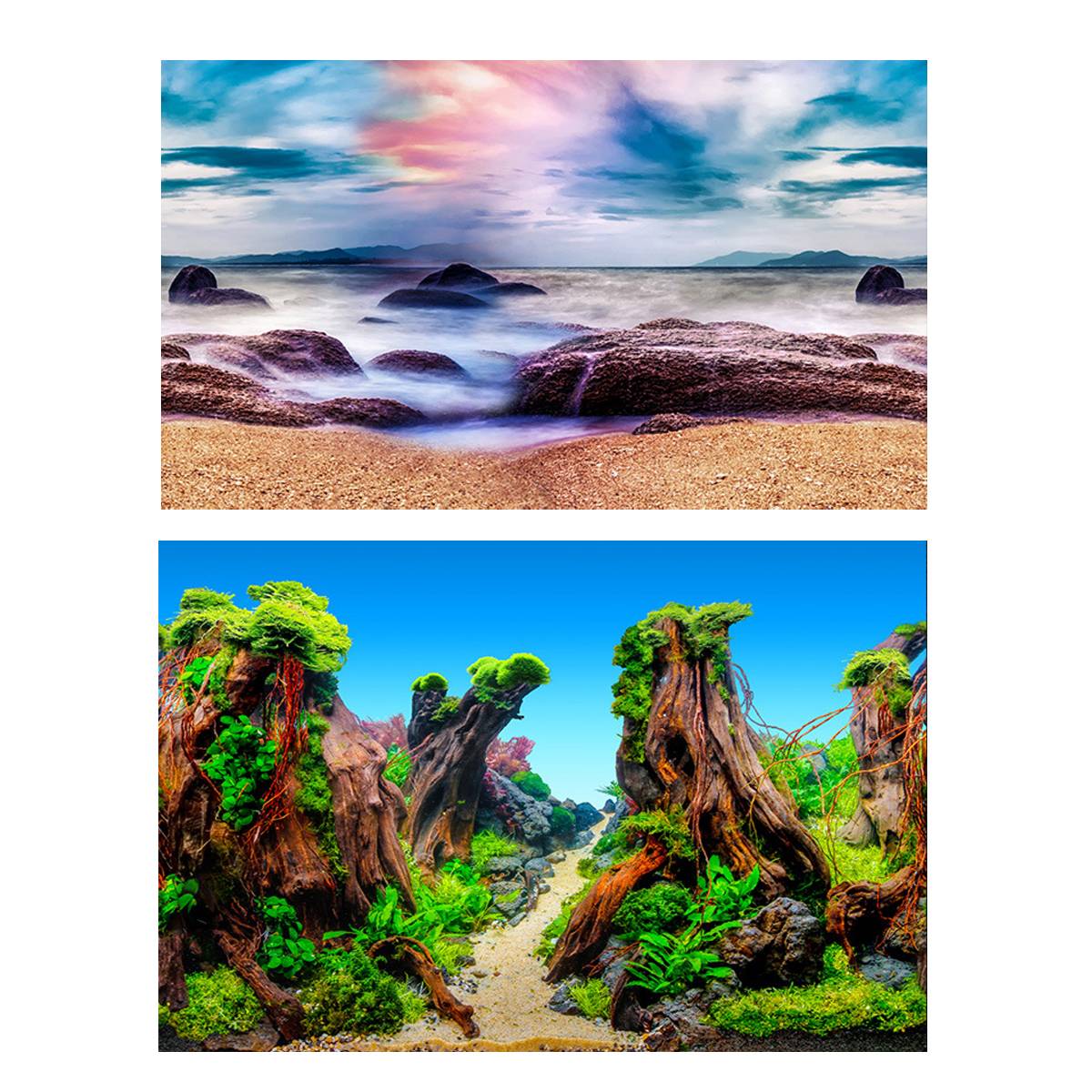 Double-Sided Aquarium Background Poster for Fish Tanks (2 Designs)