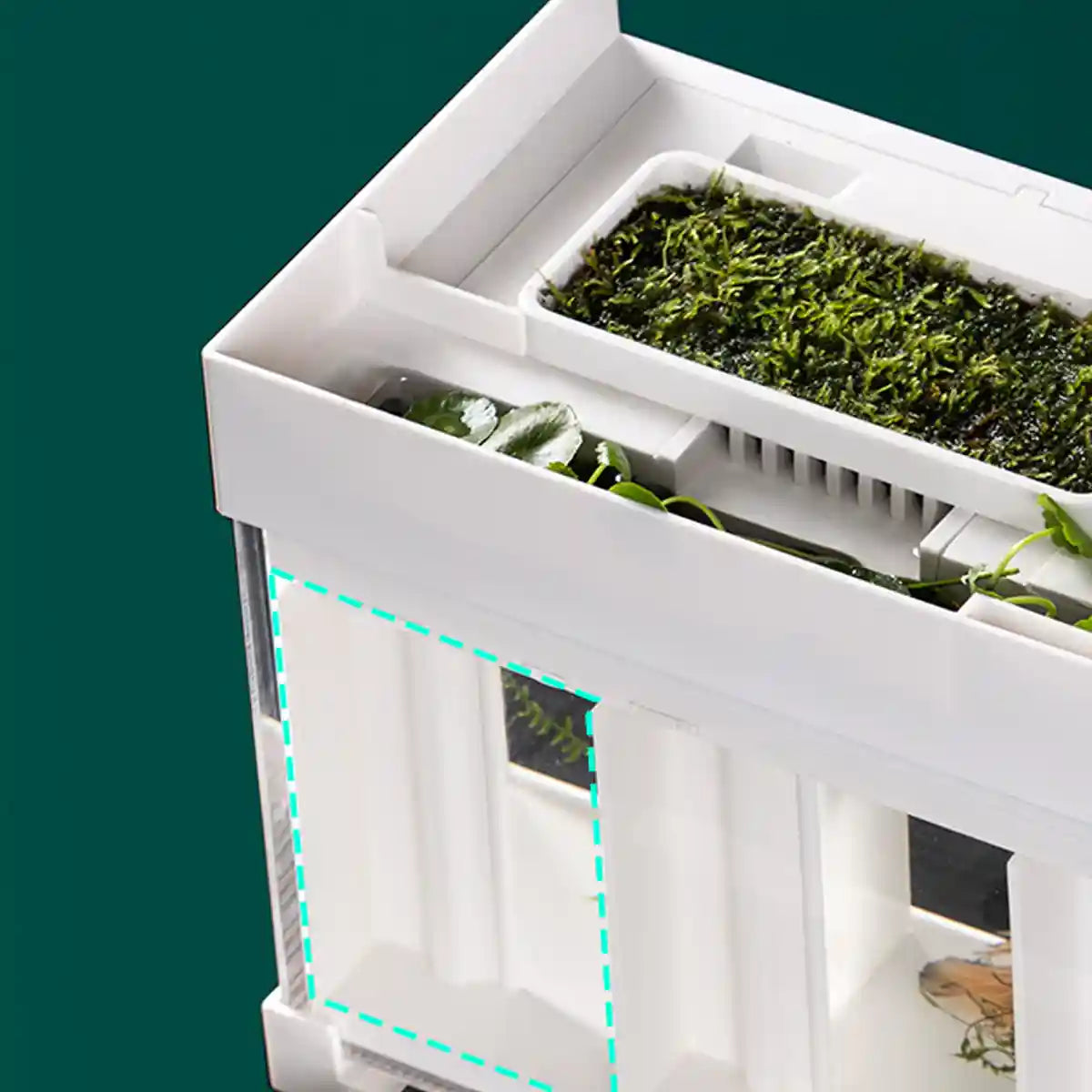 Acrylic Betta Fish Tank Four-Compartment Aquarium System