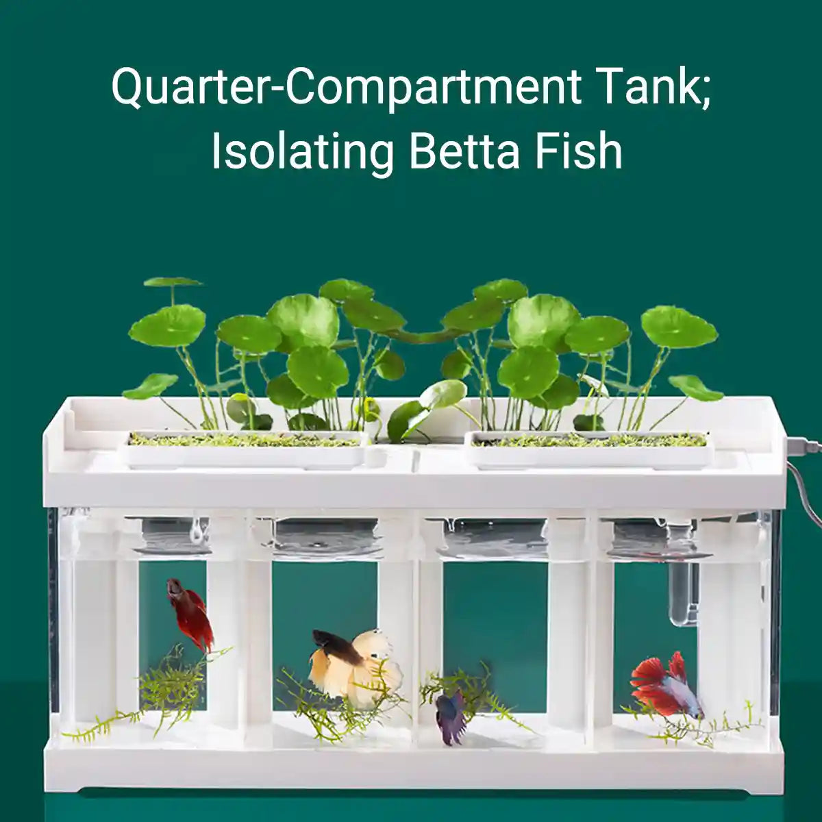 Acrylic Betta Fish Tank Four-Compartment Aquarium System