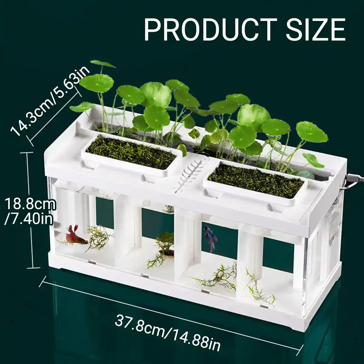 Acrylic Betta Fish Tank Four-Compartment Aquarium System