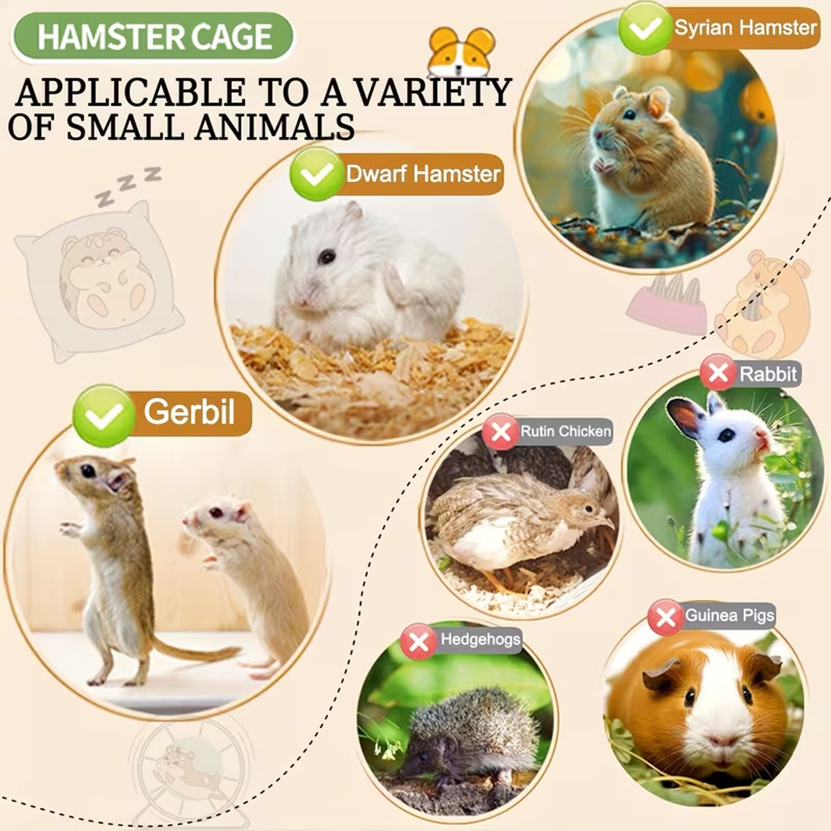 Acrylic Hamster Cage With Wheel And Accessories