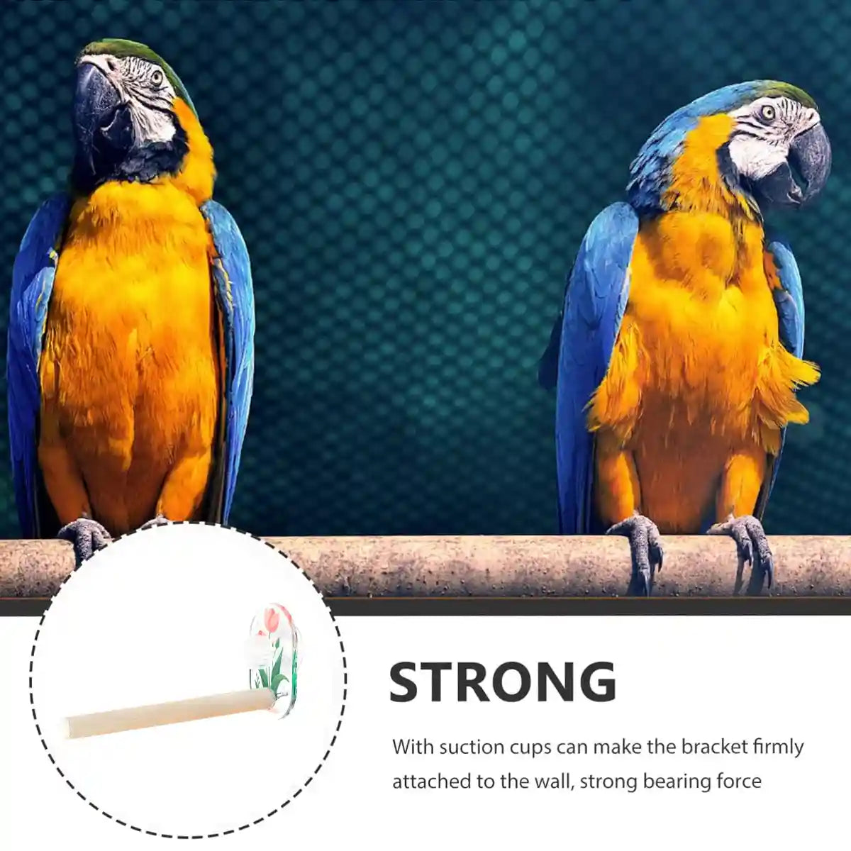 Acrylic Suction Cup Bird Stand