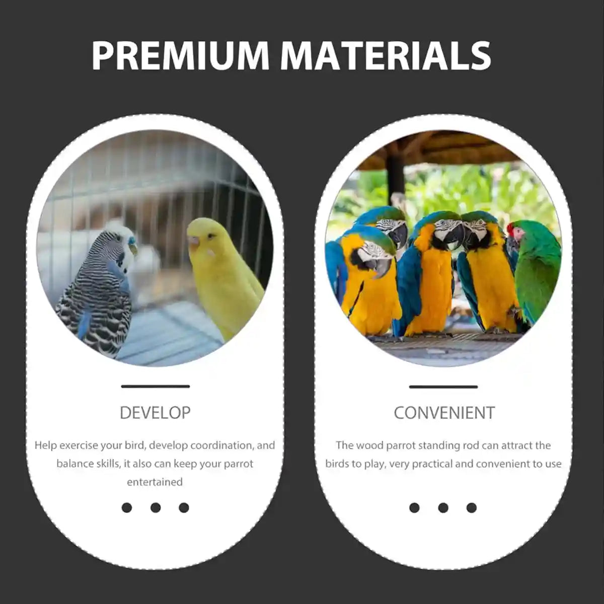 Acrylic Suction Cup Bird Stand