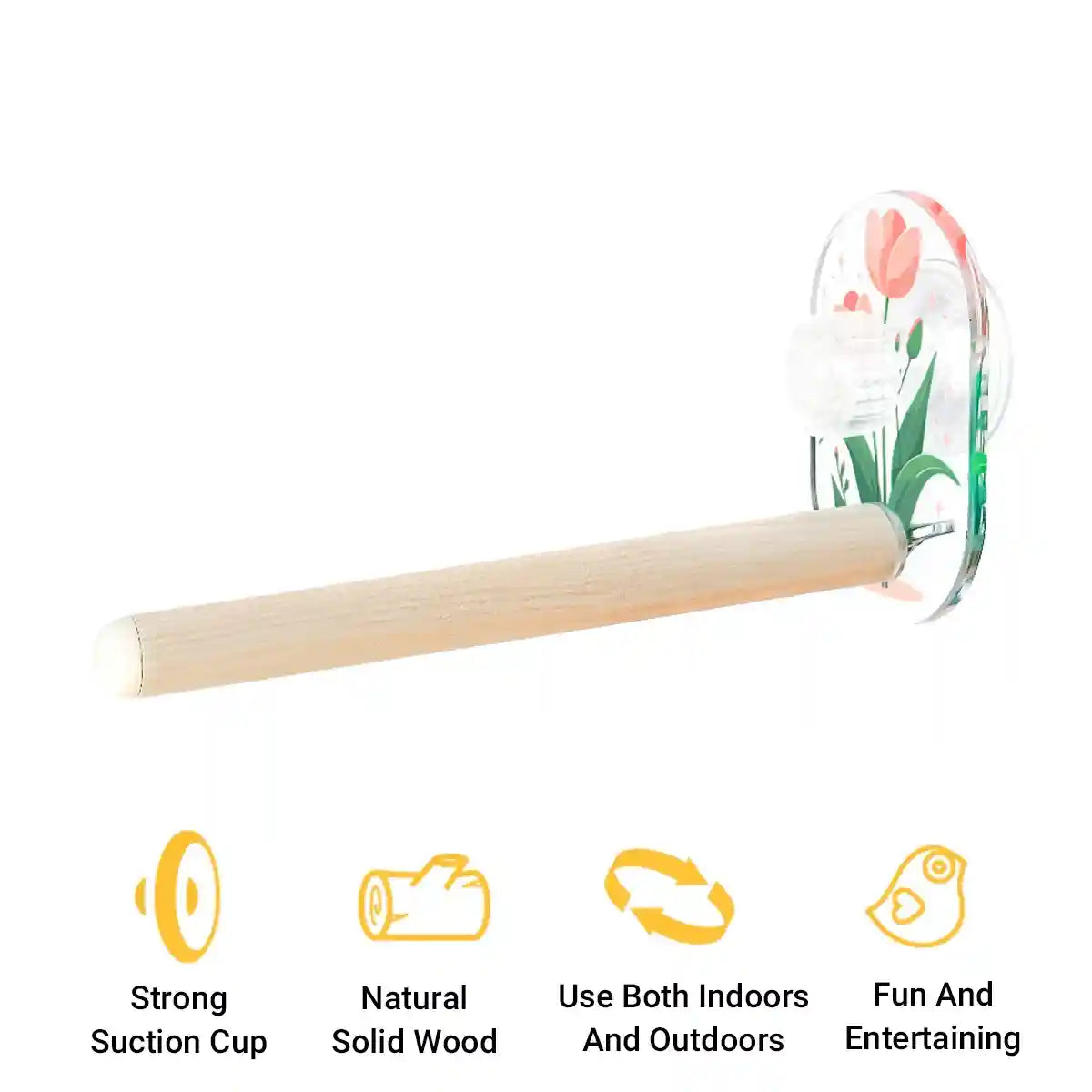 Acrylic Suction Cup Bird Stand