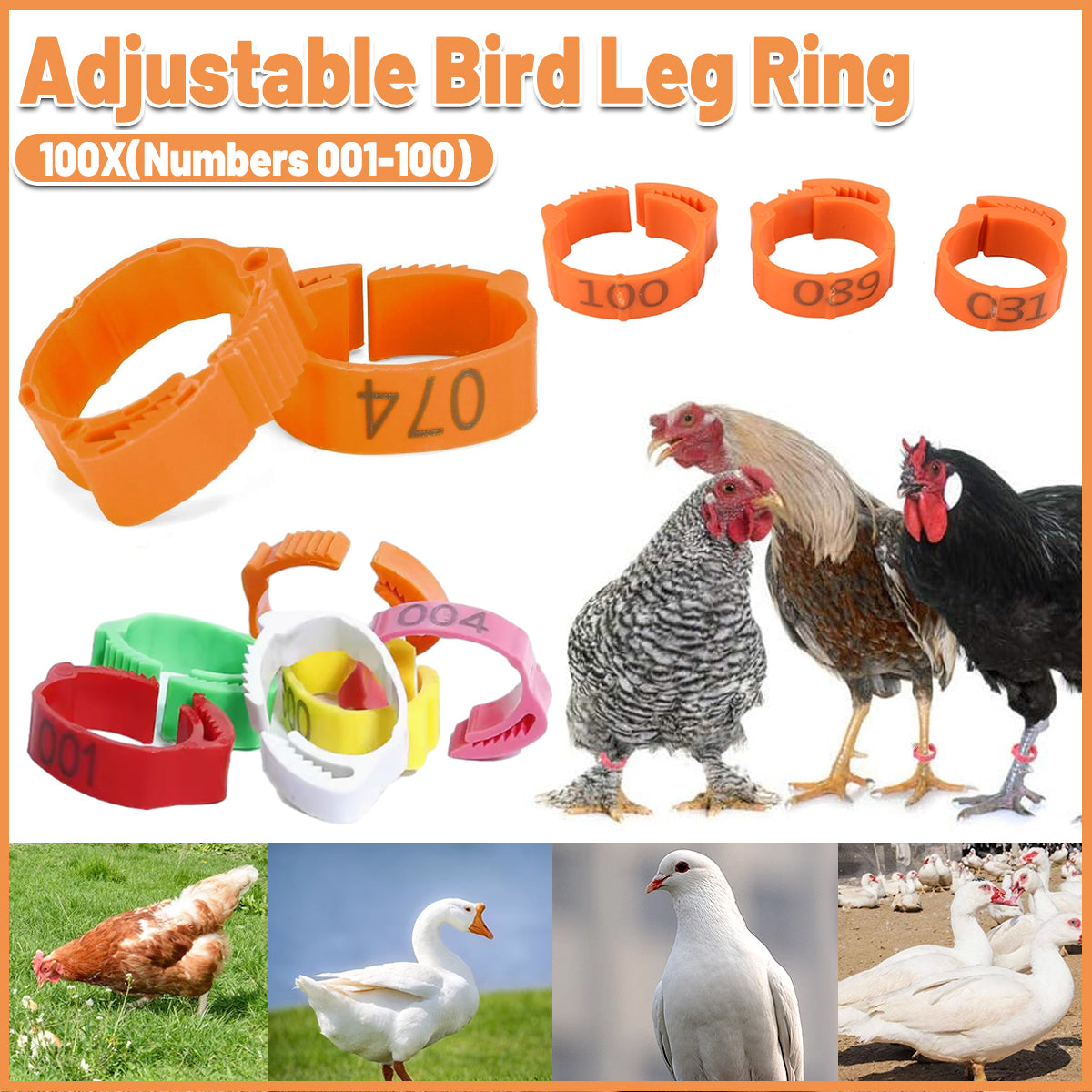 100PCS Adjustable Bird Leg Rings Numbered