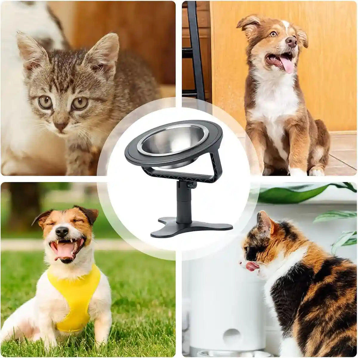 Height Adjustable Pet Bowl Holder For Dogs & Cats