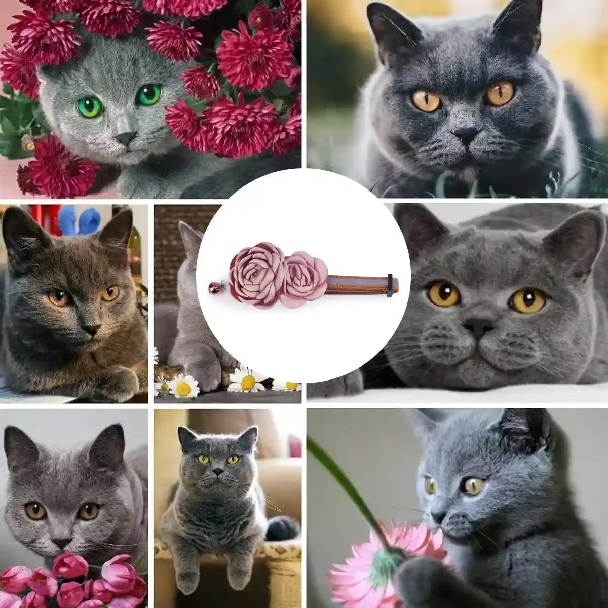 Elegant Adjustable Flower Pet Collar for Cats and Small Dogs