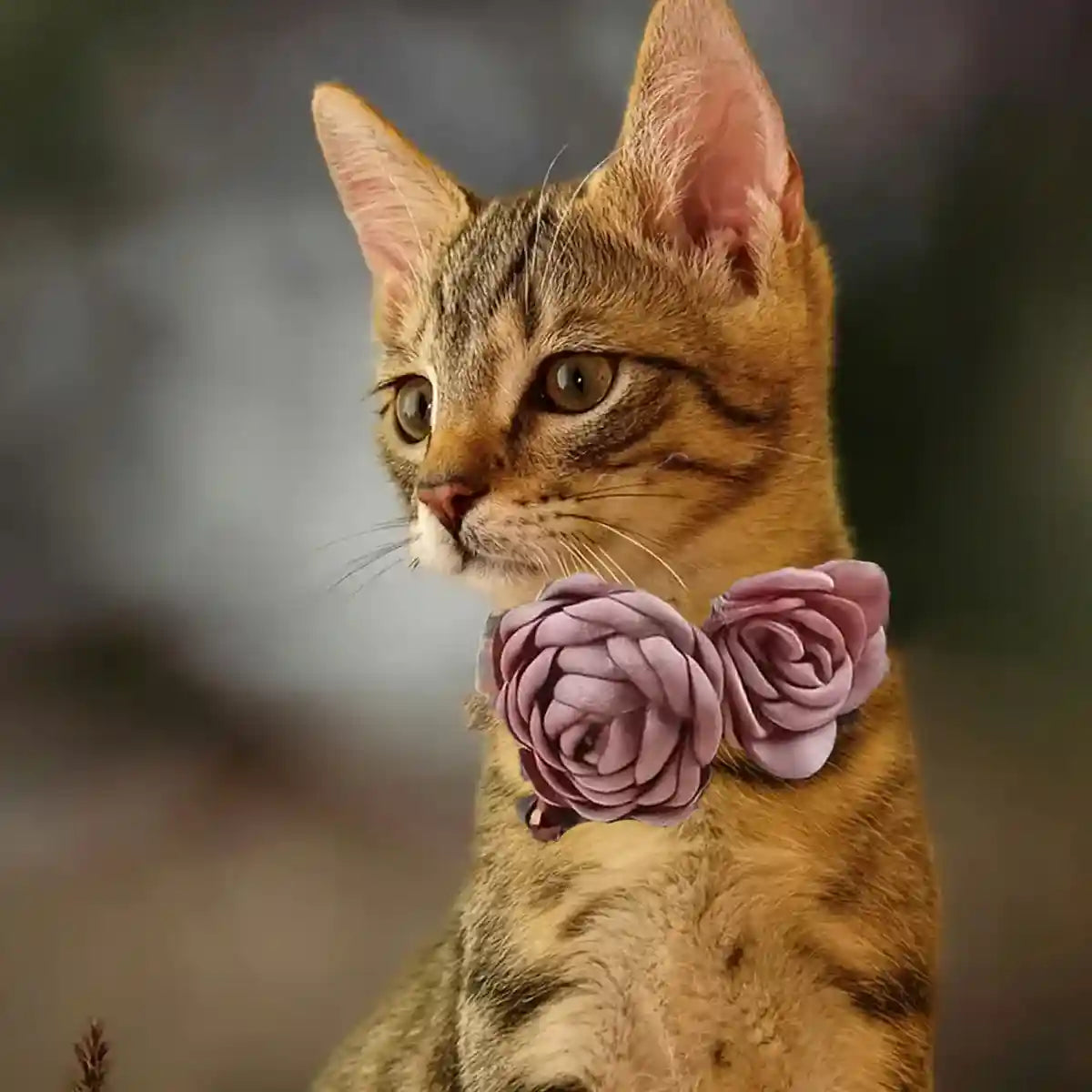 Elegant Adjustable Flower Pet Collar for Cats and Small Dogs