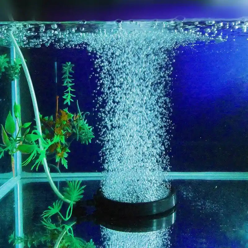 Aquarium Bubble Stone Durable Air Stones for Aquatic Oxygenation 10/13/20cm