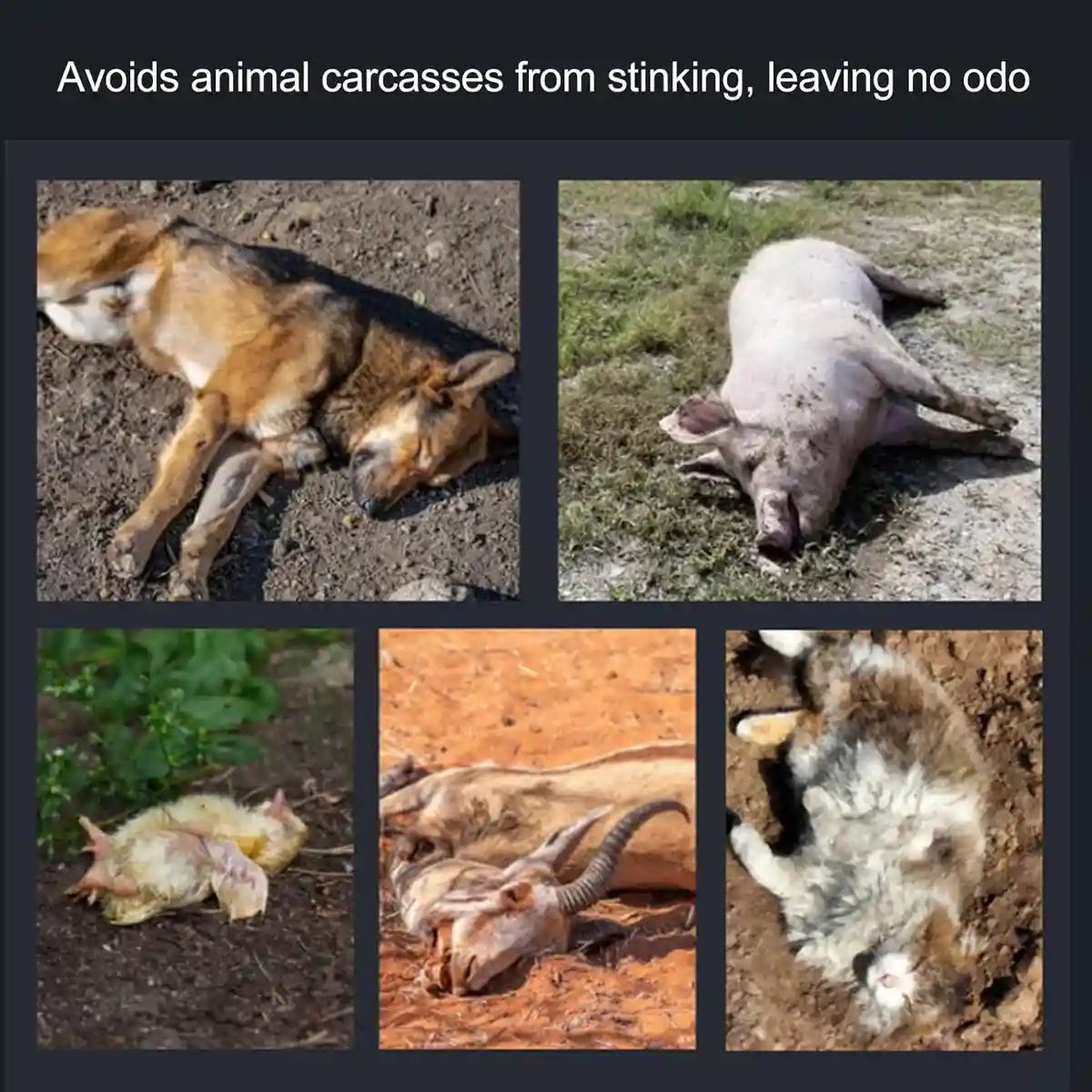 Eco-Friendly Pet Body Bag for Burial and Cremation (S/M Sizes)