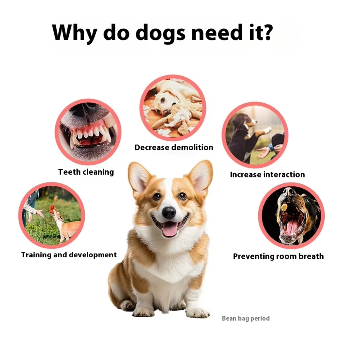Dog Treat Holder Anti-Choking Chew Toy
