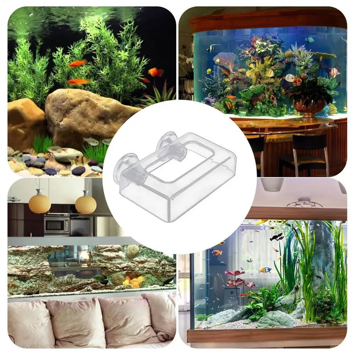 Aquarium Feeder Cup - Red Insect & Floating Fish Feeding Ring