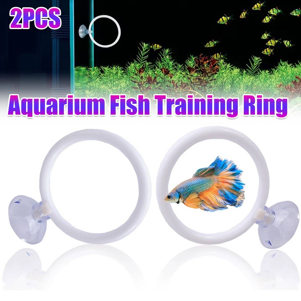 Betta Fish Training Ring 2PCS - Goldfish Show Practice Hoops