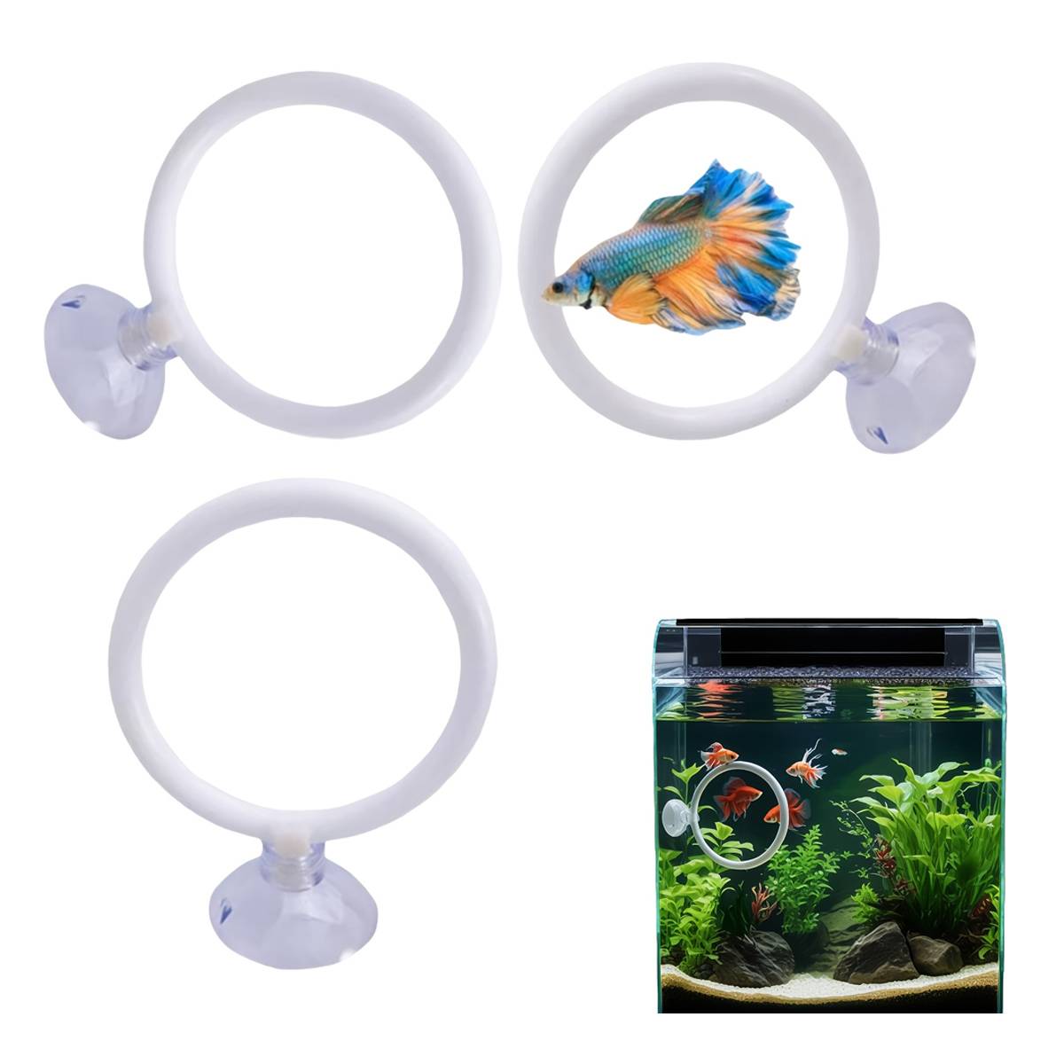 Betta Fish Training Ring 2PCS - Goldfish Show Practice Hoops