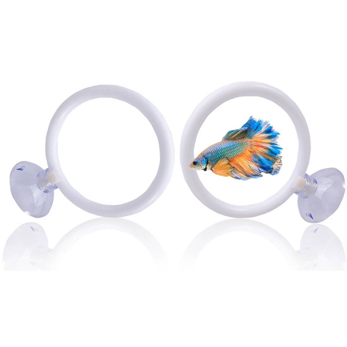 Betta Fish Training Ring 2PCS - Goldfish Show Practice Hoops