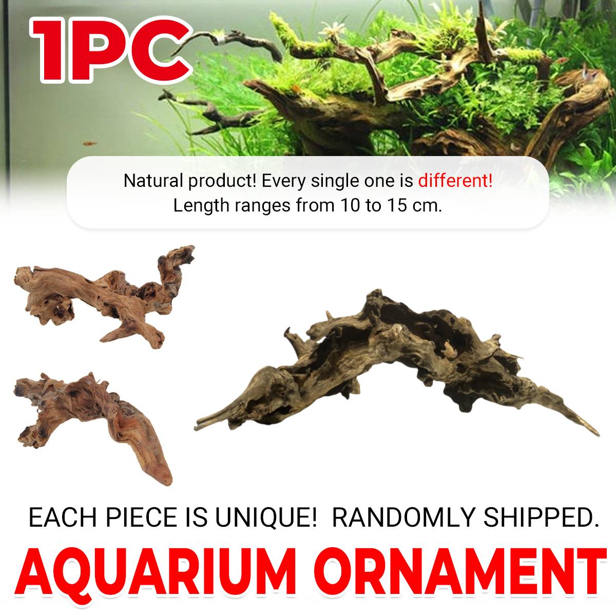 Shrimp Wood Driftwood - Honeycomb Aquascape Wood for Shrimp Tanks