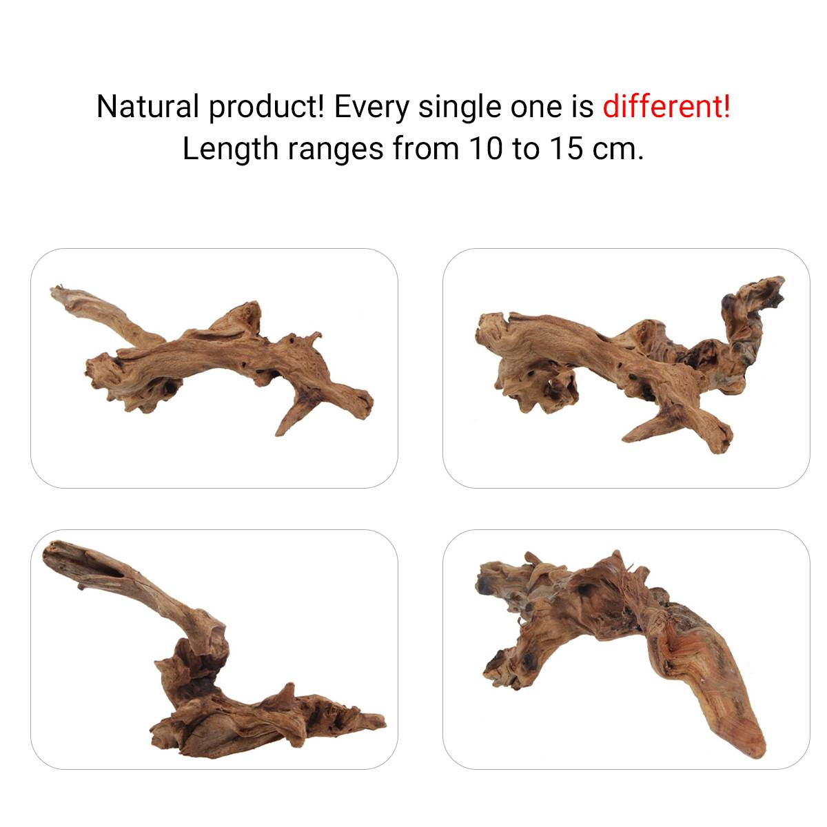 Shrimp Wood Driftwood - Honeycomb Aquascape Wood for Shrimp Tanks