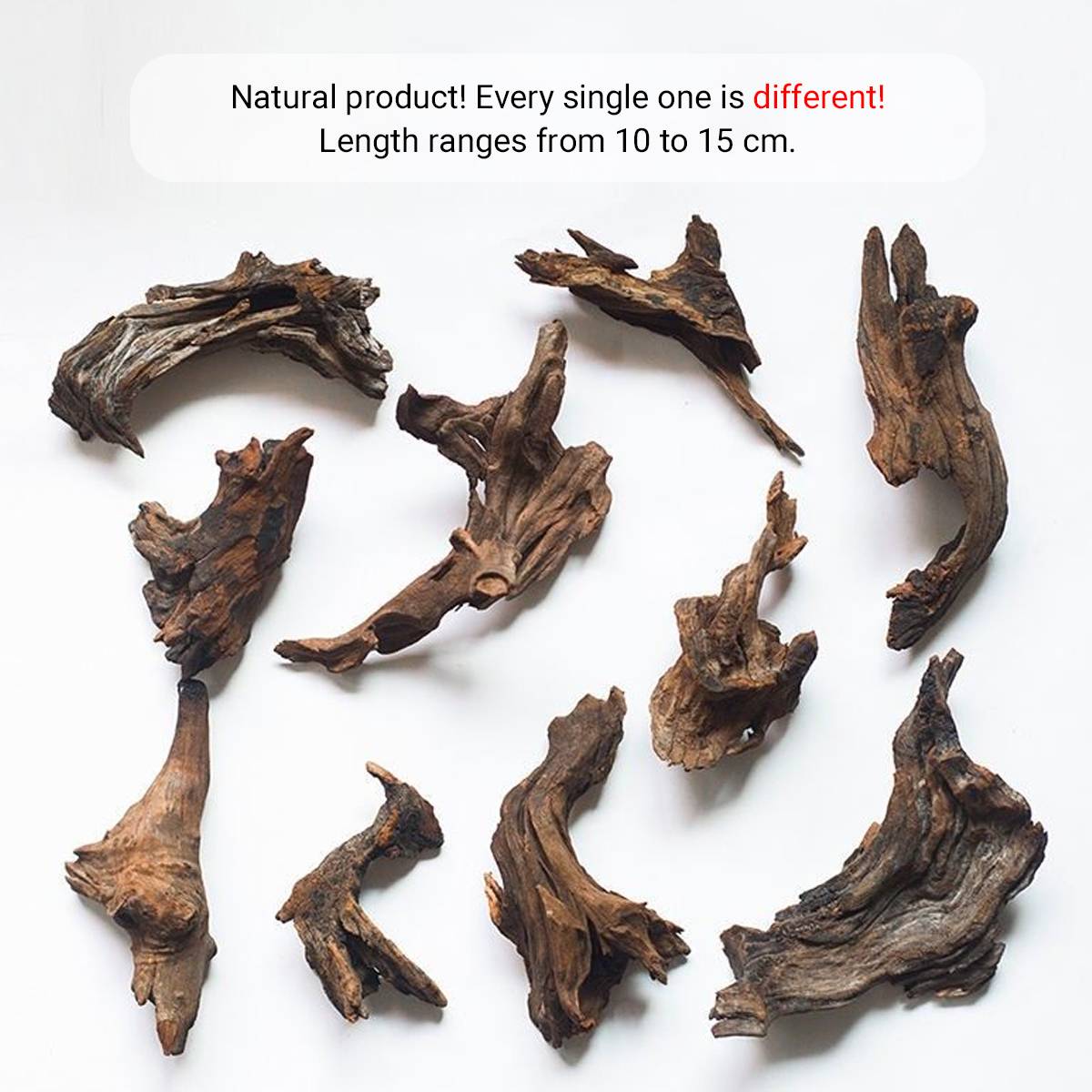 Shrimp Wood Driftwood - Honeycomb Aquascape Wood for Shrimp Tanks