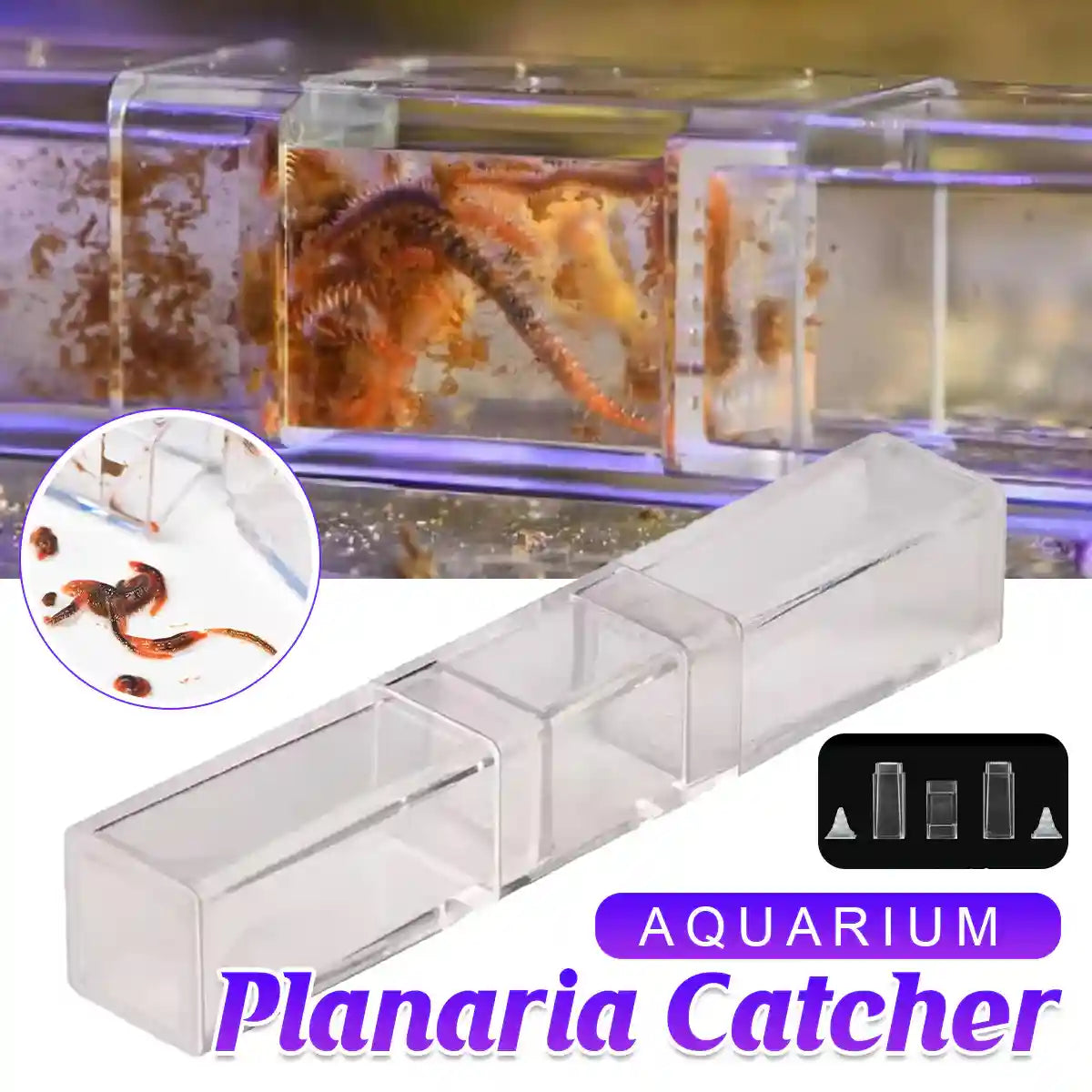 Aquarium Planaria Catcher