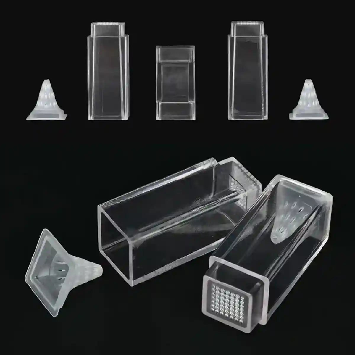 Aquarium Planaria Catcher