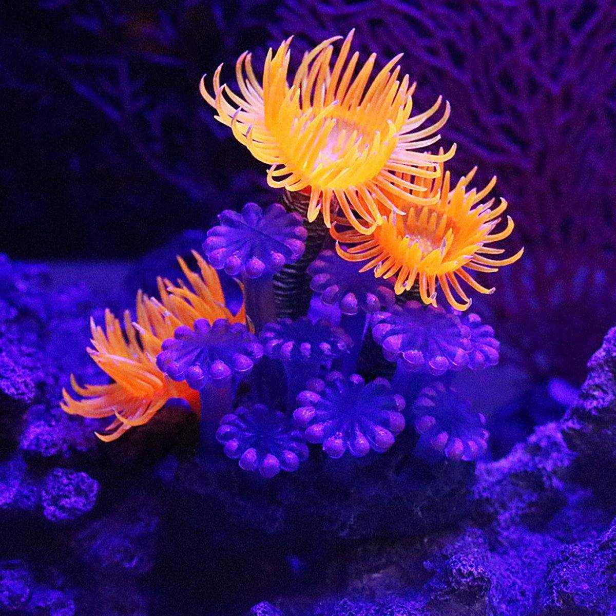 Vibrant Coral Aquarium Decoration – Realistic Artificial Anemone for Tanks