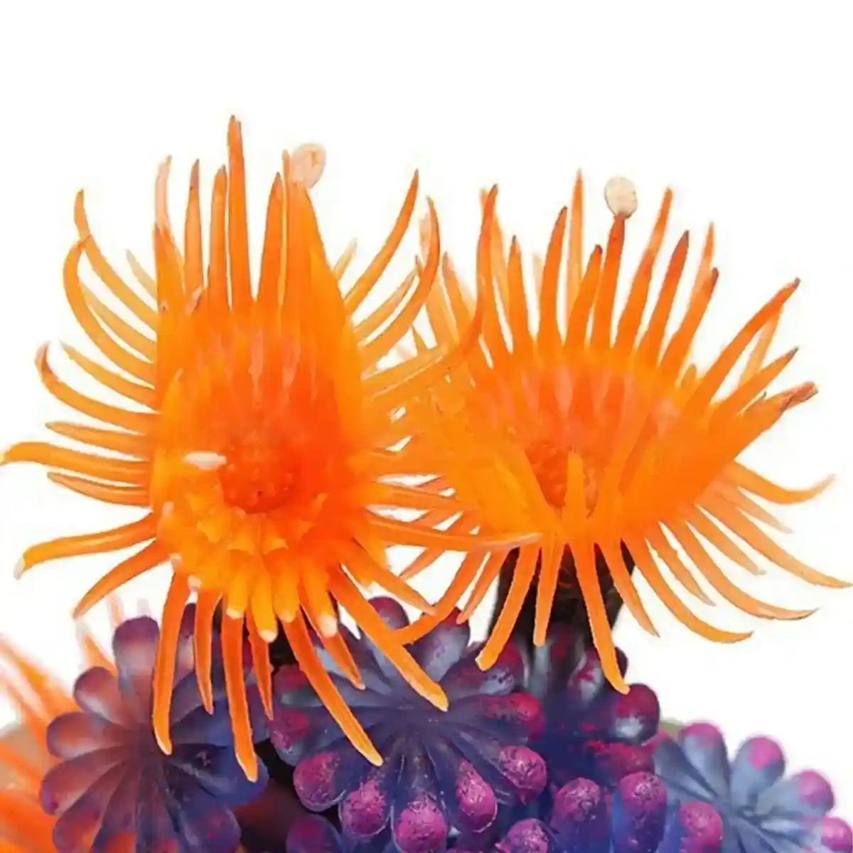 Vibrant Coral Aquarium Decoration – Realistic Artificial Anemone for Tanks