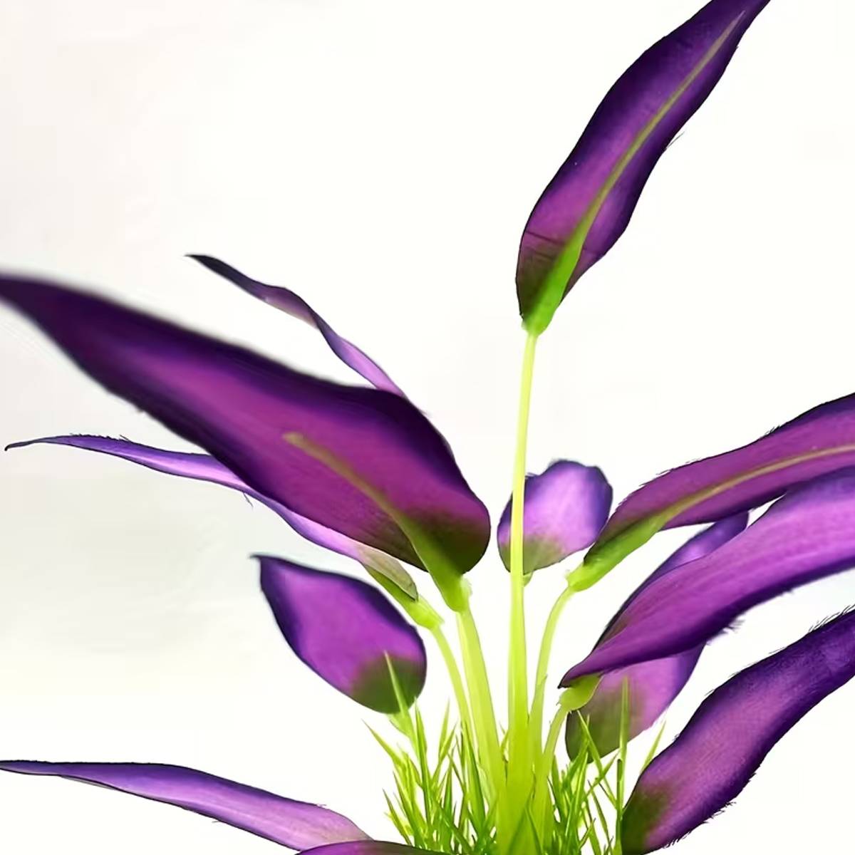 Artificial Aquatic Plants for Fish Tank | Realistic Aquarium Decoration