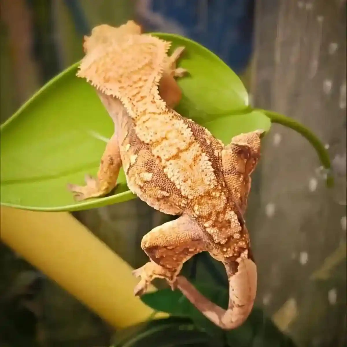 3pcs Realistic Artificial Aquarium Plants Set Safe & Durable Decorations