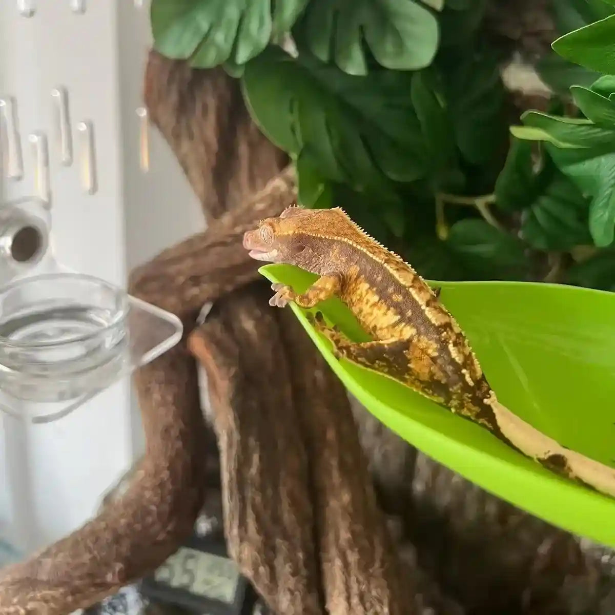 3pcs Realistic Artificial Aquarium Plants Set Safe & Durable Decorations