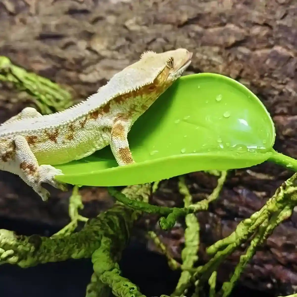 3pcs Realistic Artificial Aquarium Plants Set Safe & Durable Decorations