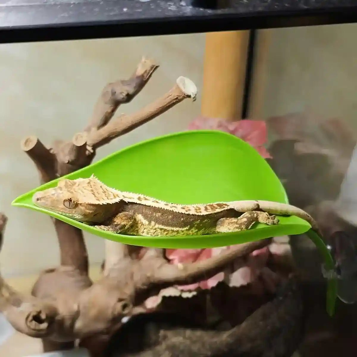 3pcs Realistic Artificial Aquarium Plants Set Safe & Durable Decorations