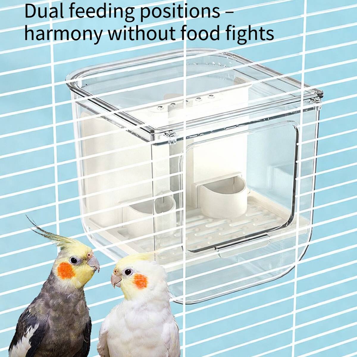 Automatic Bird Feeder Box