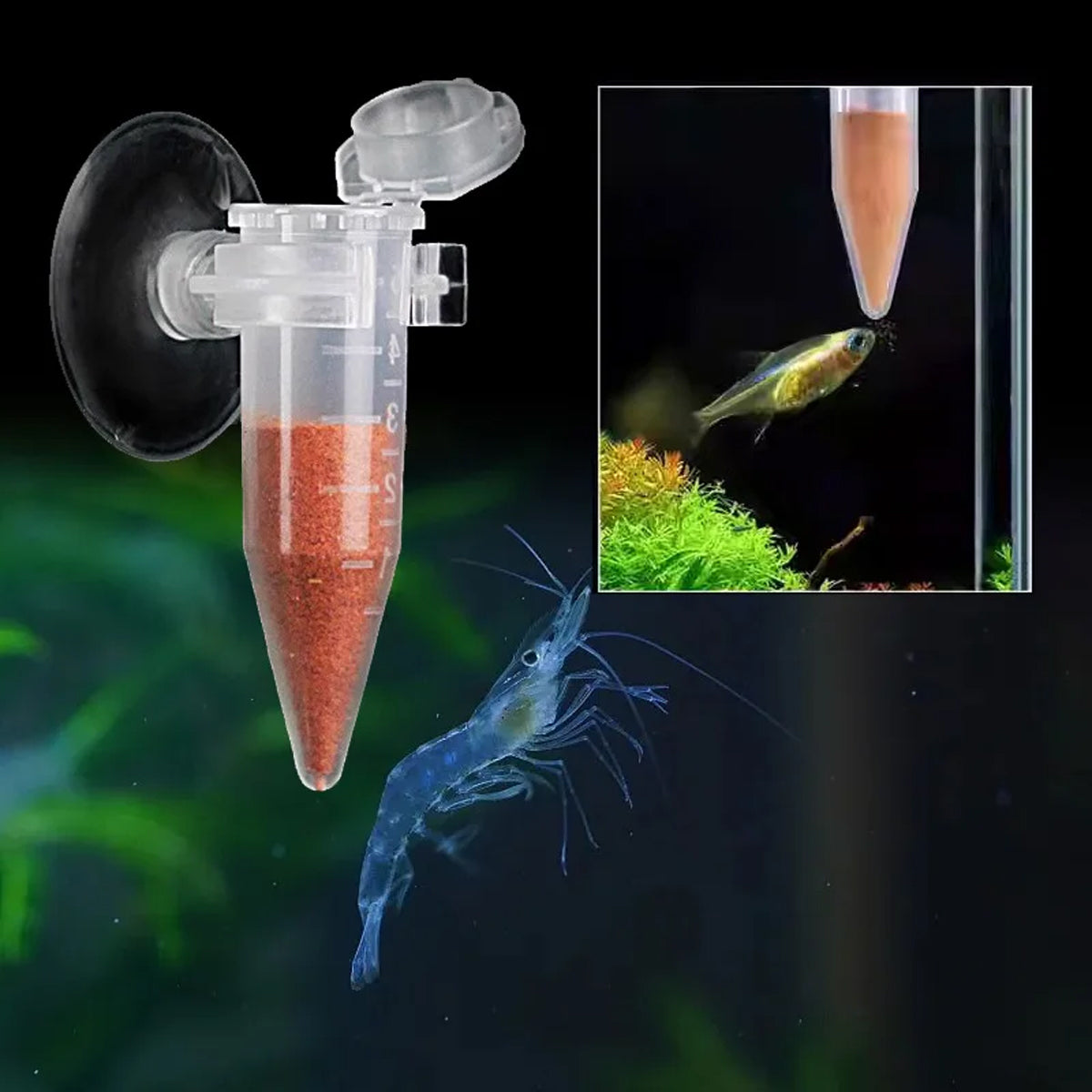 Automatic Fish Feeder With Suction Cup (10PCS)