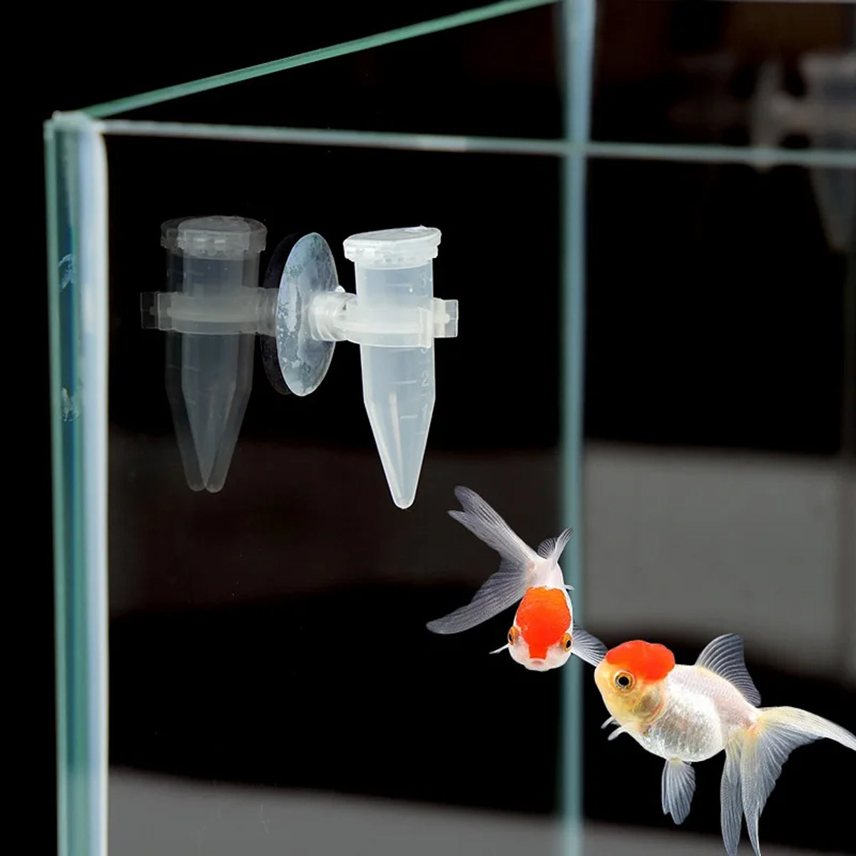 Automatic Fish Feeder With Suction Cup (10PCS)