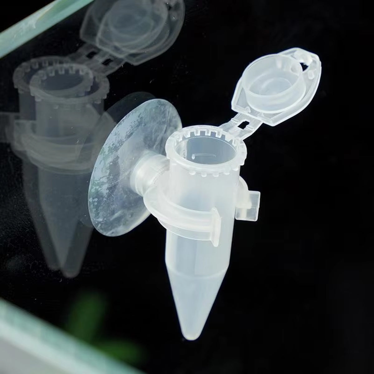 Automatic Fish Feeder With Suction Cup (10PCS)
