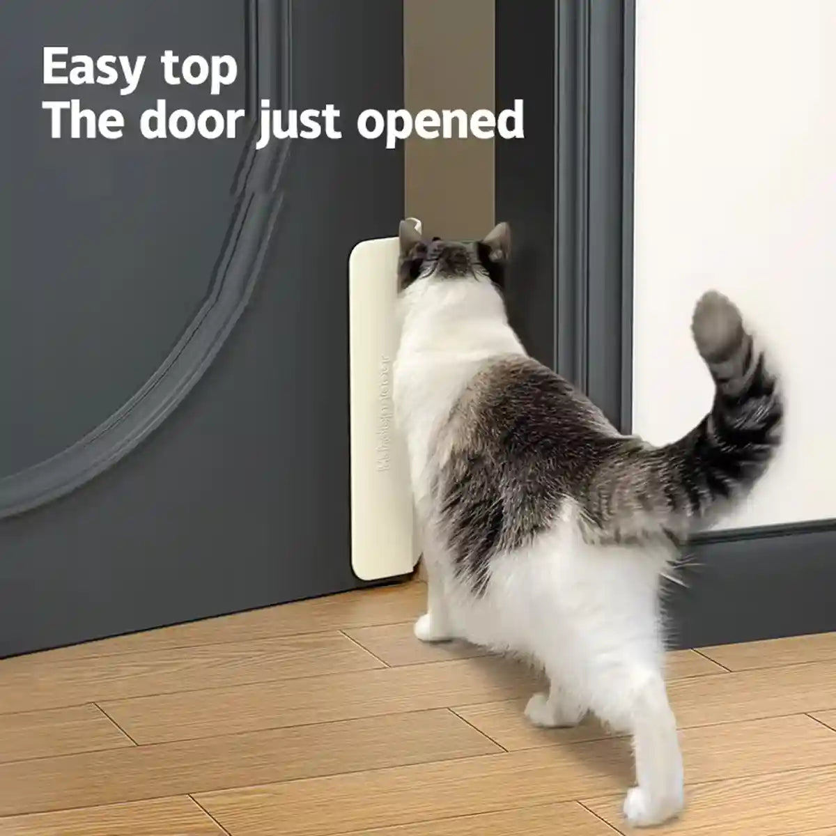 Automatic Cat Door Closer With Drill-Free Installation