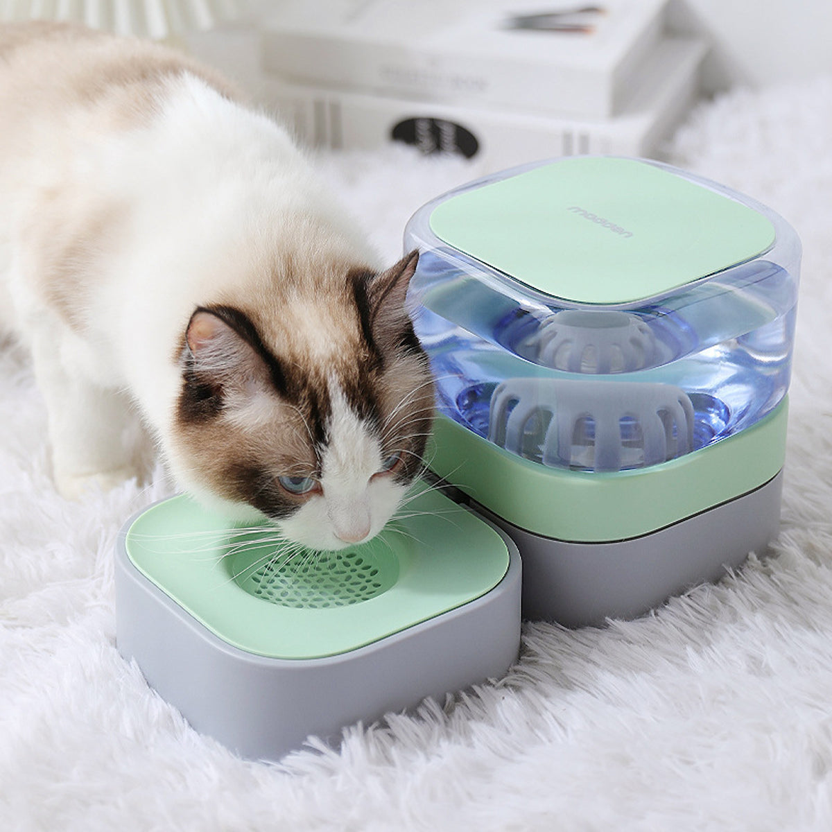 Automatic Pet Water Dispenser With Double Bowls