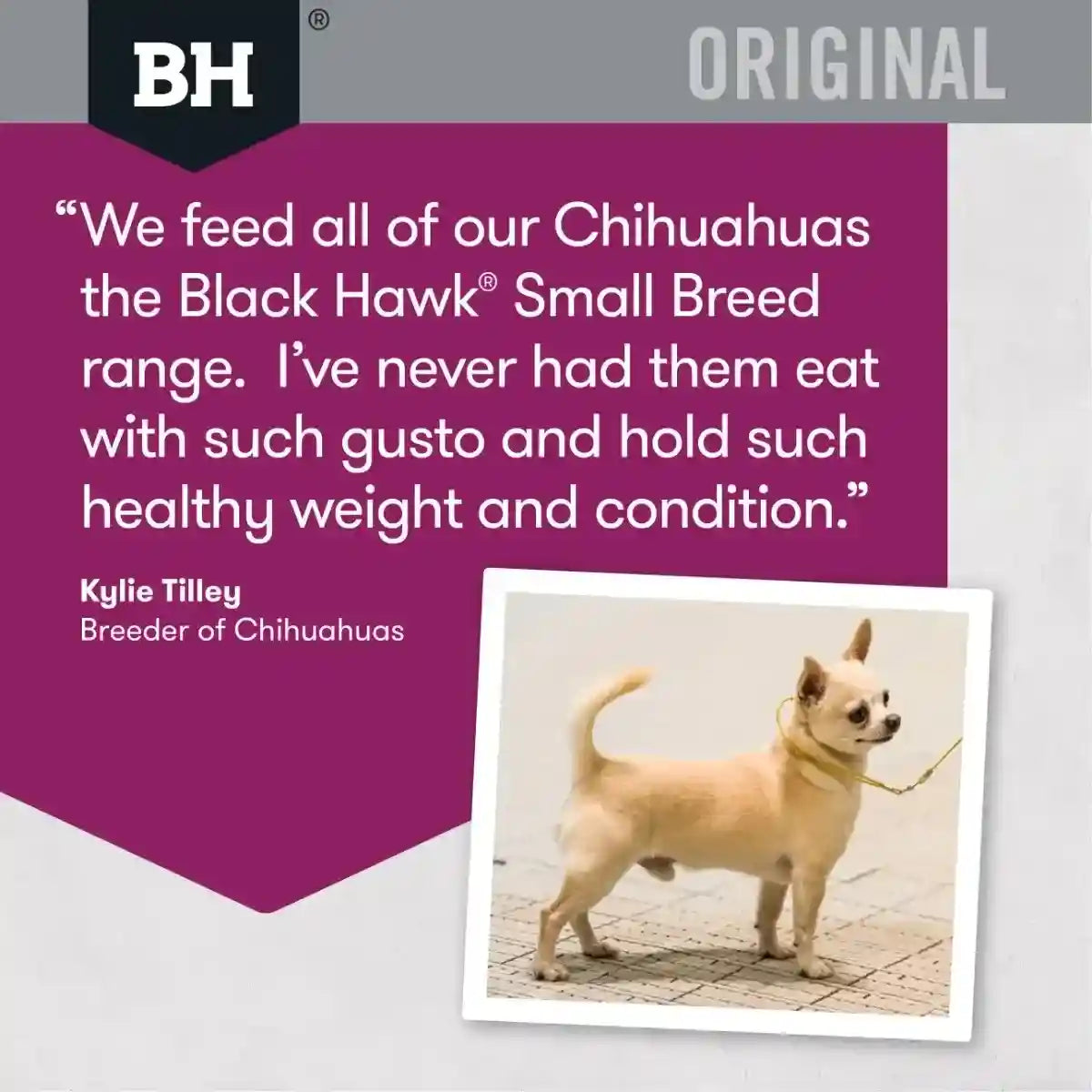 Black Hawk Lamb And Rice Small Breed Dry Dog Food 10kg