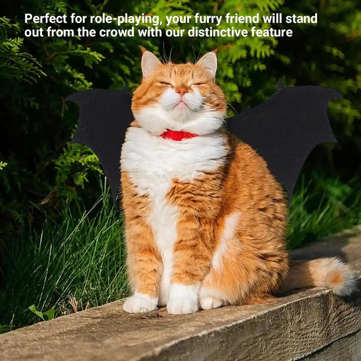 Halloween Pet Bat Wings Costume Adjustable Dog & Cat Outfit