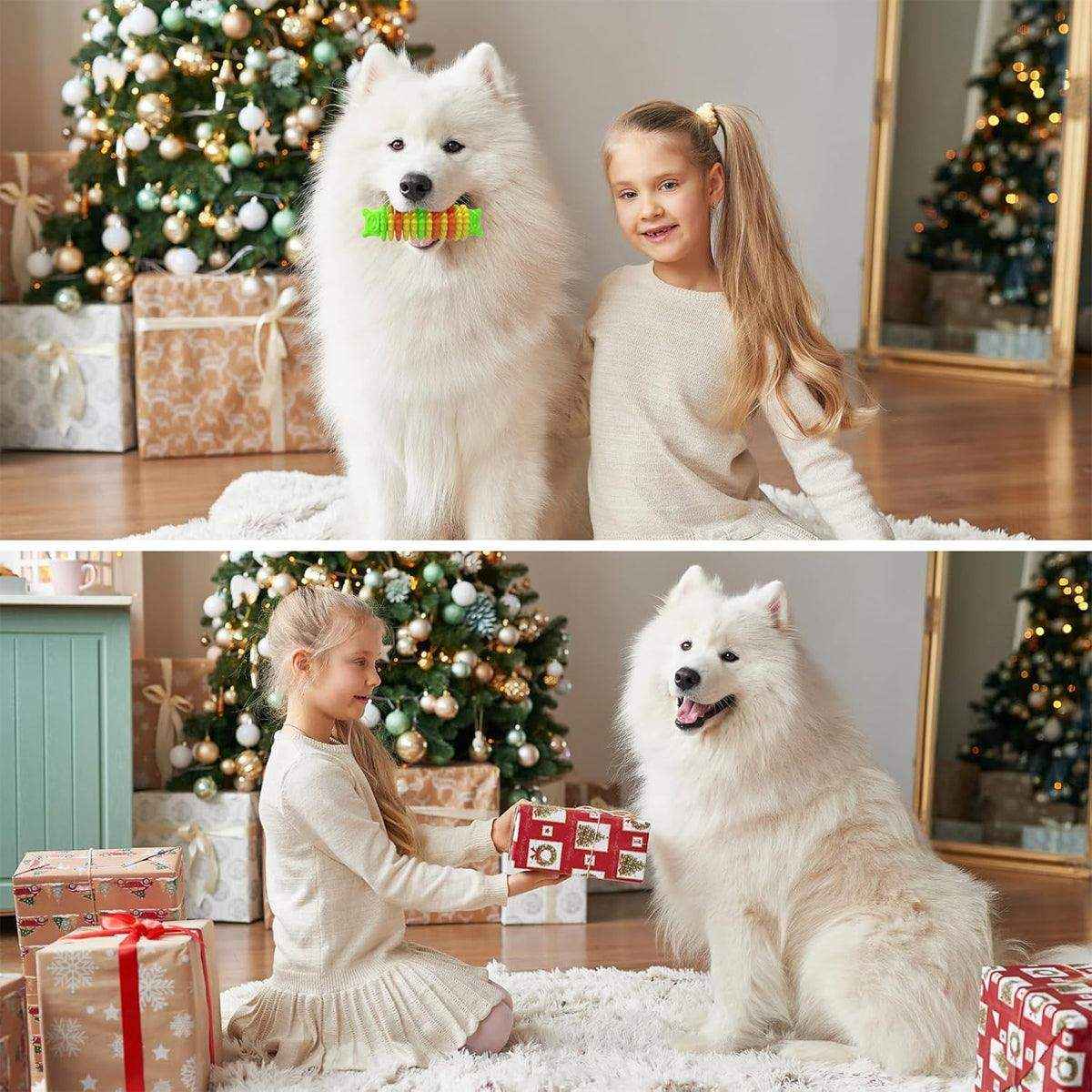 Durable Bear Head Dog Chew Toy for Dental Health & Play