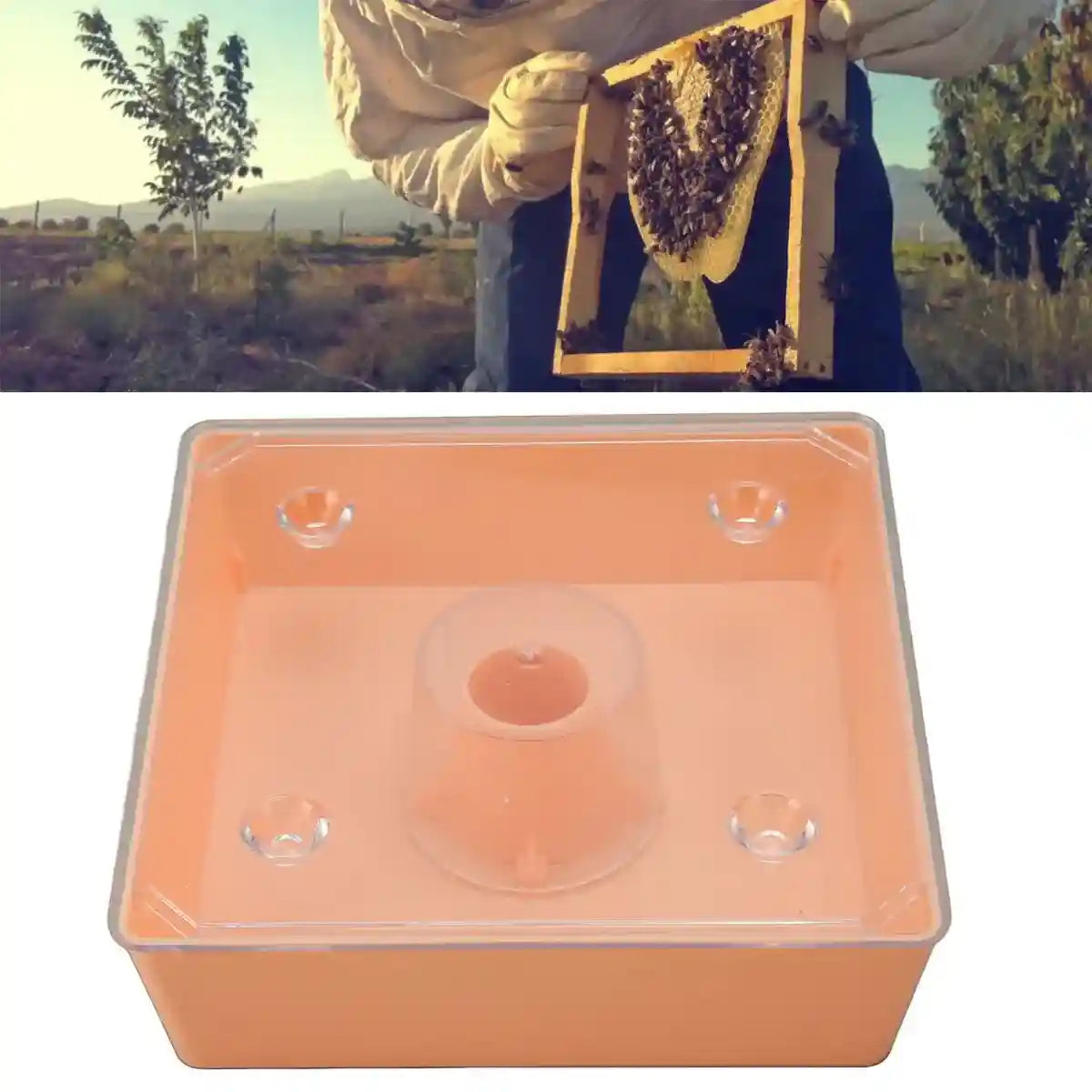 2PCS Square Hive Bee Feeder 1.6L Leakproof Acrylic Design